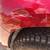 Mobile Paintless Dent Repair Service PDR, have a dent and paint is ok? 5 thumbnail