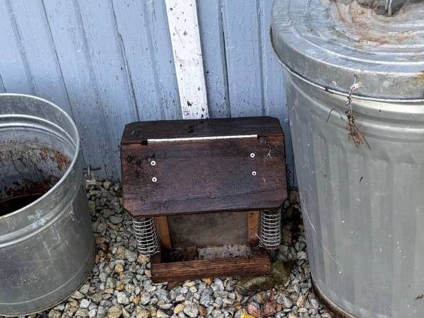 Bird feeder.  Hopper 1