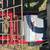 E-bike Red Electric Tricycle Bike IZIP Tricruiser 9 thumbnail