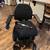 Quantum 2.0 edge power chair 3 thumbnail