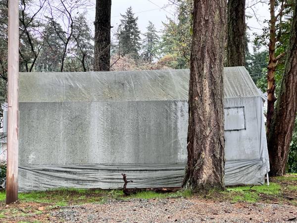 Large Tent for free 1