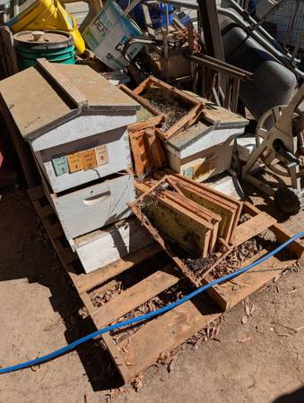 Bee hives 1