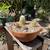 Architectural Cabin Sanctuary near Piedmont Ave / Uptown 17 thumbnail