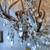 Pair Dennis Leen Light Crystal Beaded French Chateau Sconces 5 Light 4 thumbnail