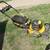 DeWalt 20V PUSH MOWER 1 thumbnail