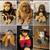 Plush Stuffed Monkeys 1 thumbnail