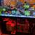 Salt Water Aquarium 1 thumbnail