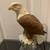 1980s Vintage Ceramic Eagle Statue 6 thumbnail