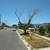Gardena Gem SFR New Construction 21 thumbnail