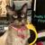 1 year old Siamese Boy  - affectionate 4 thumbnail