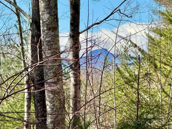 $374,900 54 ACRES at The Coves! Multiple build sites! Lot 837 (The Coves Mountain River Club, Lenoir NC)64029212493954120