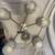 Chrome Incandescent Lighting Chandelier 1 thumbnail