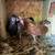 Pigeon 2 thumbnail