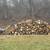 Free cut firewood 2 thumbnail