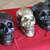 Brass Skulls & Decoration Skulls 4 thumbnail