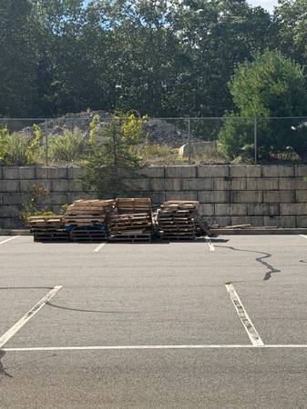 FREE Pallets! 1