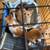 Kitties 10 thumbnail