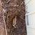 CUTTING EDGE LANDSCAPING SERVICES..A cut above the rest 3 thumbnail
