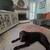 Extra large room in lovely East Davis home 10 thumbnail
