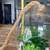 Large Faux Succullent Glass Hanging Terrarium 4 thumbnail