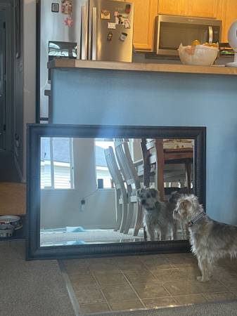 Mirror - $80 (anchorage)63470289754881121