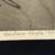 MCM Woodblock Print by listed artist Barbara Hughes "Spider Conch" 5 thumbnail