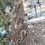 2 Heavy duty lifting cables  12'-------------- wrecking ball 2 thumbnail