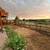 Decorative Rock & Xeriscape Installation | Denver Landscaping Experts 16 thumbnail