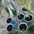 House Plants 9 thumbnail