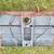 1968 - 1969 fastback Ford Torino / Fairlane : OEM rear body panels (3) 2 thumbnail