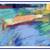Circa 1997 Henry Isaacs "in Warm Waters" Gold Framed + Matted 7 thumbnail