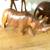 5 Wooden Safari Statues 4 thumbnail