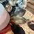 Chicks 1 thumbnail