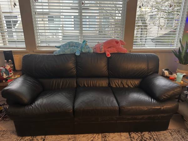 Leather Couch and Chair 1
