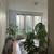 Sunny 1BR in Elegant Victorian-OPEN HOUSE SUNDAY 1PM-1:45PM🏠August 24 3 thumbnail