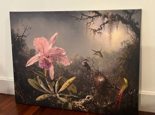 Botanical Canvas Print 1