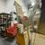 Bakery Machinery for Sale 14 thumbnail