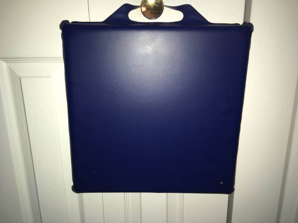 Stadium Seat Cushions - $10 for 2  (North East, MD) 1