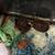 Male Guinea Pigs and hamsters 3 thumbnail