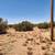 Terreno fsbo land 2.5 acres land for sale Snowflake, Az 3 thumbnail