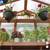 YARDISTRY MERIDIAN 8' X 7' GREENHOUSE - NEW IN BOX 7 thumbnail