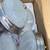 NEW frosted flush ceiling light fixtures 2 thumbnail
