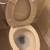 CARPET-RUG CLEANING & HOUSE CLEANING MOVING OUT/919-400-3681 9 thumbnail