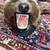 Brown bear skin rug; Original teeth, nice condition 2 thumbnail