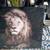 Large format art.Outdoor/indoor plxiglass. Bob Marley 4 x 4. Lion 4 x 5 foot.$99 3 thumbnail