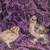 Bantam chicks 5 thumbnail