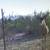 Ranch for Sale 2678 ac in Mexico, near Border Great Hunting Negotiable 16 thumbnail