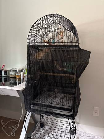 3 parakeets + cage 1