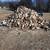 Fw.. kingsville farm selling firewood ... seasoned dry split and cut t 2 thumbnail