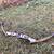 Browning compound bow 3 thumbnail
